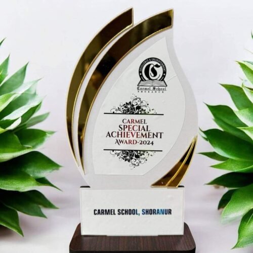 Custom wooden award