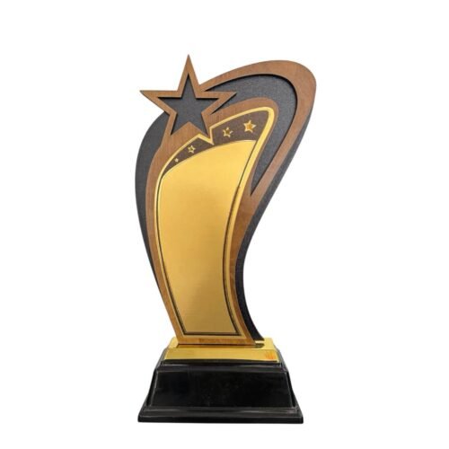gold star trophy